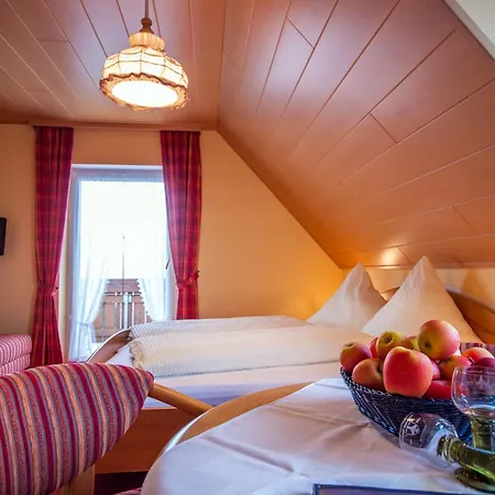 Guest house Mohr *
